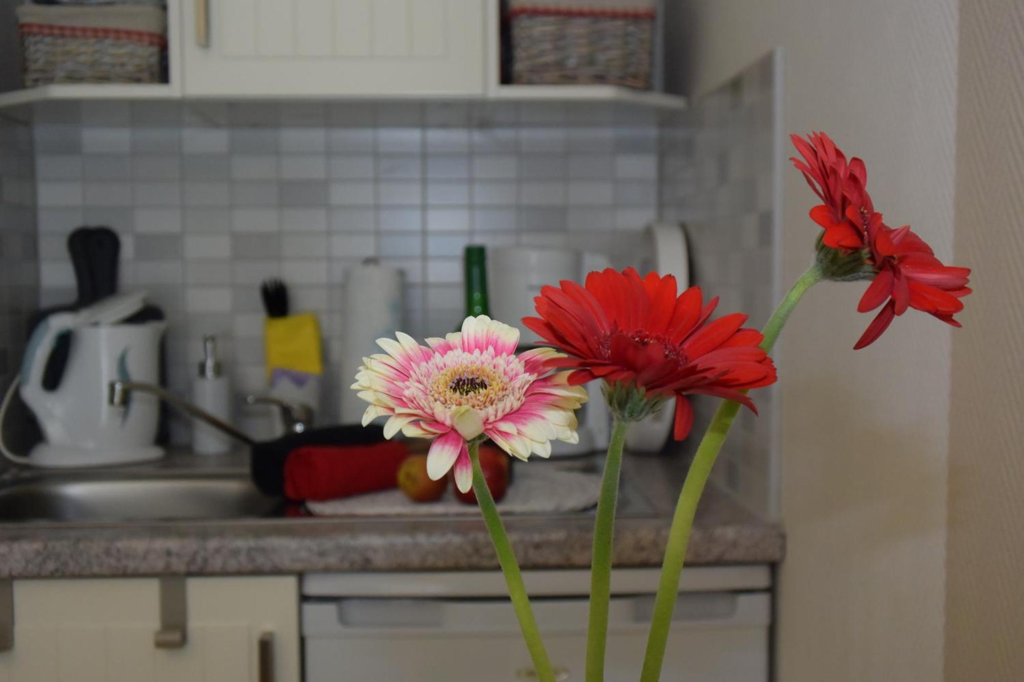 Ferienapartments Urlaub Und Meer Ostseebad Kühlungsborn Chambre photo